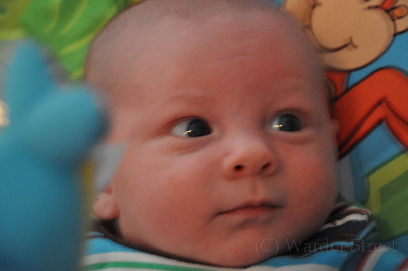 William's Fifth Week 18.jpg